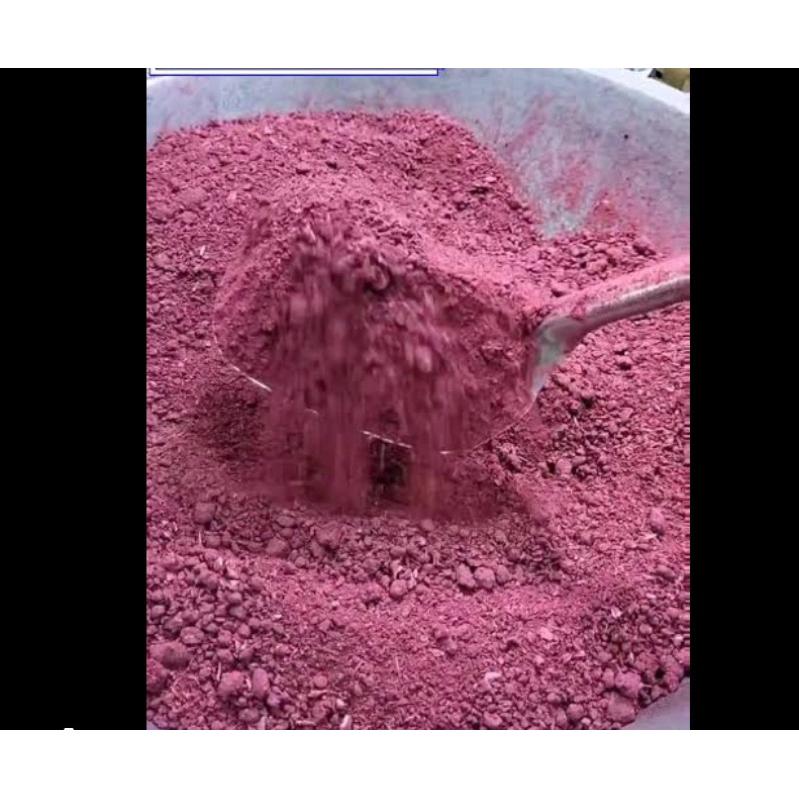 

Terasi sangrai merah 100gr