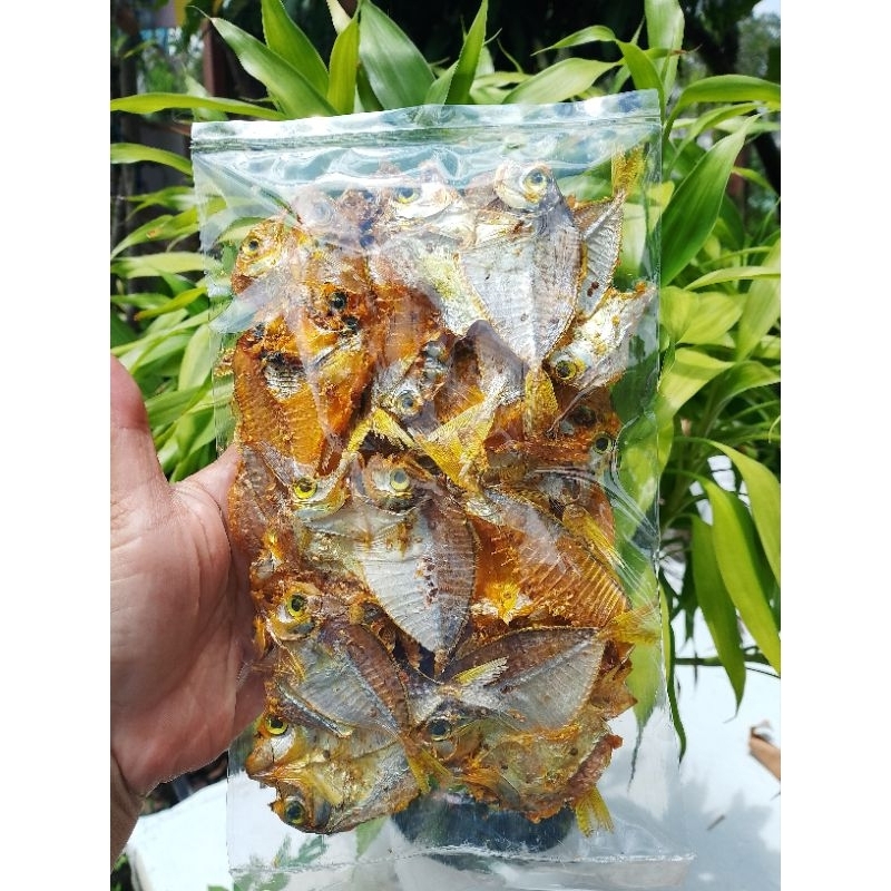 

ikan kering berbumbu gurih 100 gram