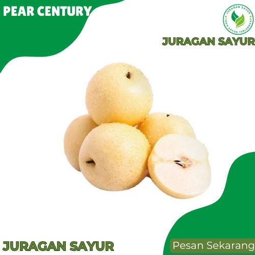 

Buah Pear Century - Pear Century Super Manis - Juragan Sayur