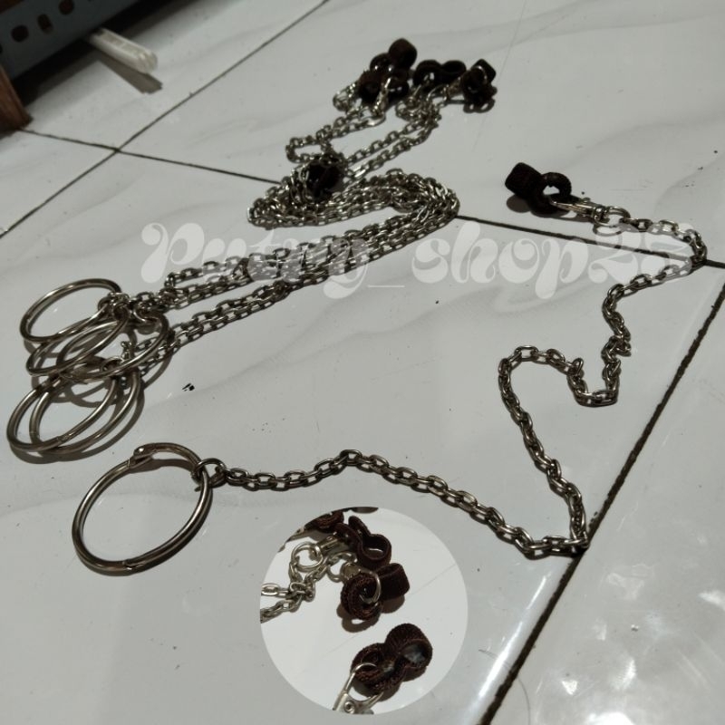 RANTAI BURUNG NURI BORGOL KAKI
