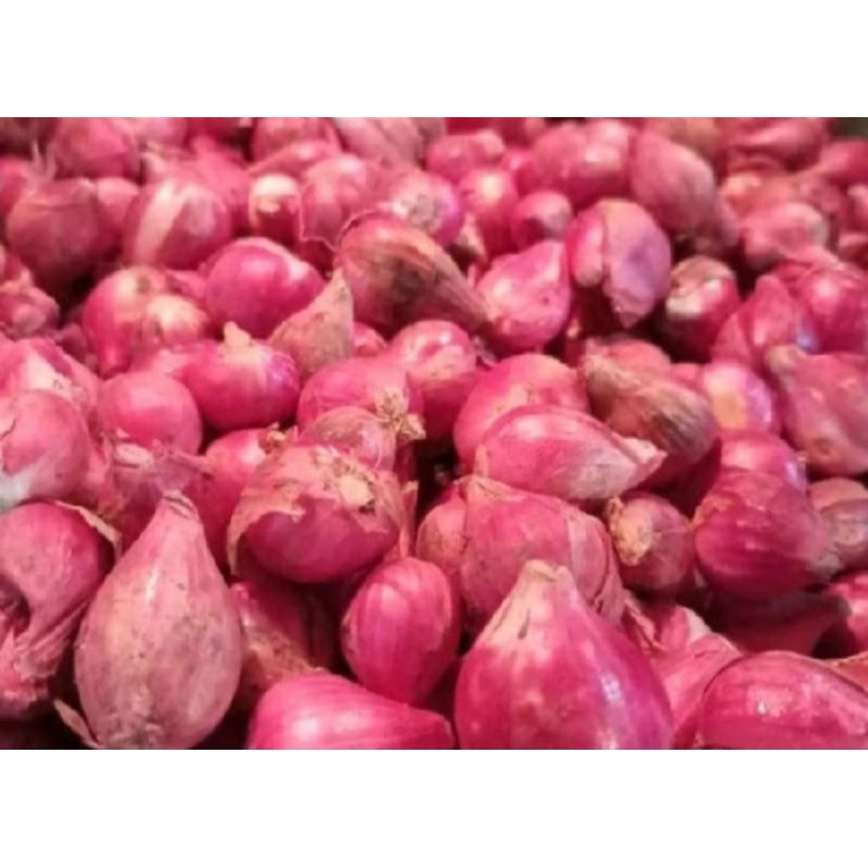 

Bawang Merah Super Murah