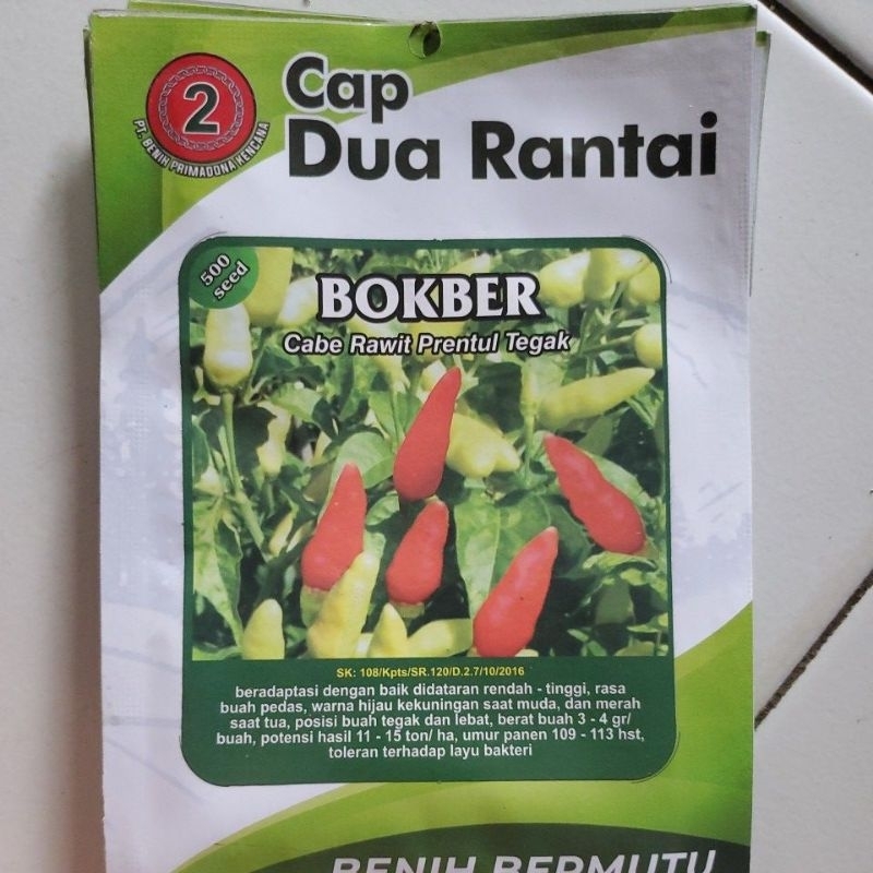 

CABE TIUNG BUKBER