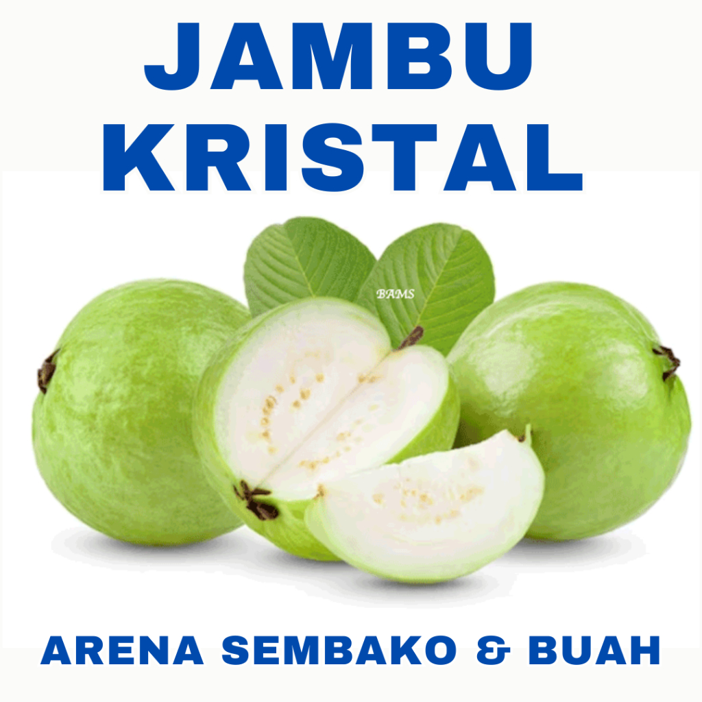 

(BISA COD) PROMOO JAMBU KRISTAL 1KG ARENA BUAH CIKARANG