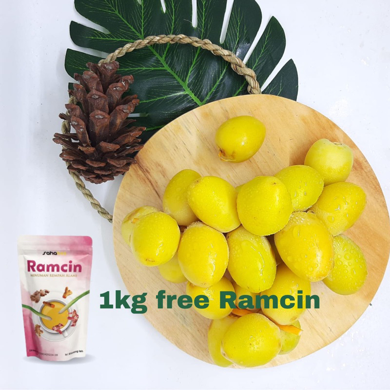 

(READY) kurma muda fresh ruthob kurma muda promil free testpack