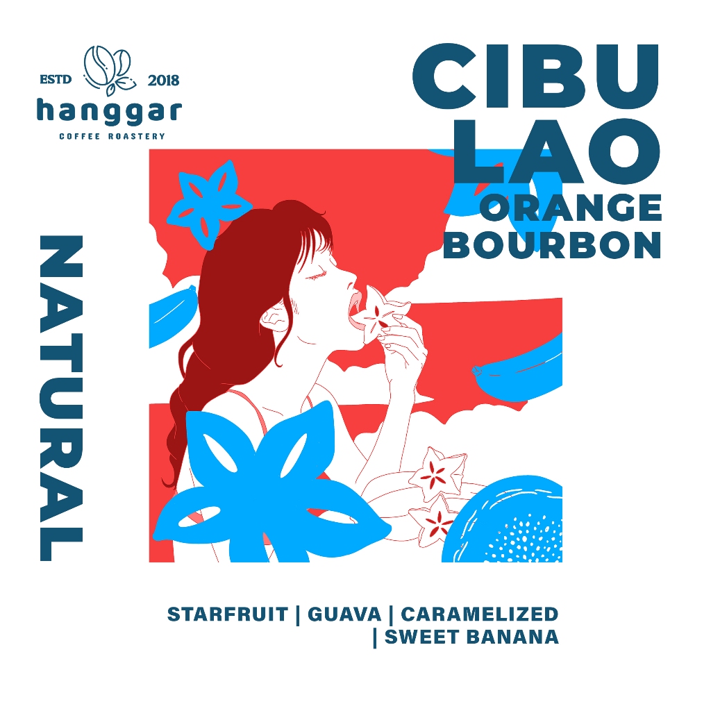 

CIBULAO ORANGE BOURBON Specialty Arabica Coffee - Hanggar Roastery