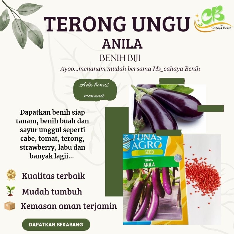 (250 biji) Benih terong ungu panjang ANILA - TUNAS AGRO