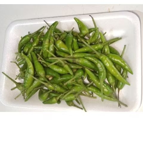 

cabai cabe rawit pedas 100 gr / 1 ons