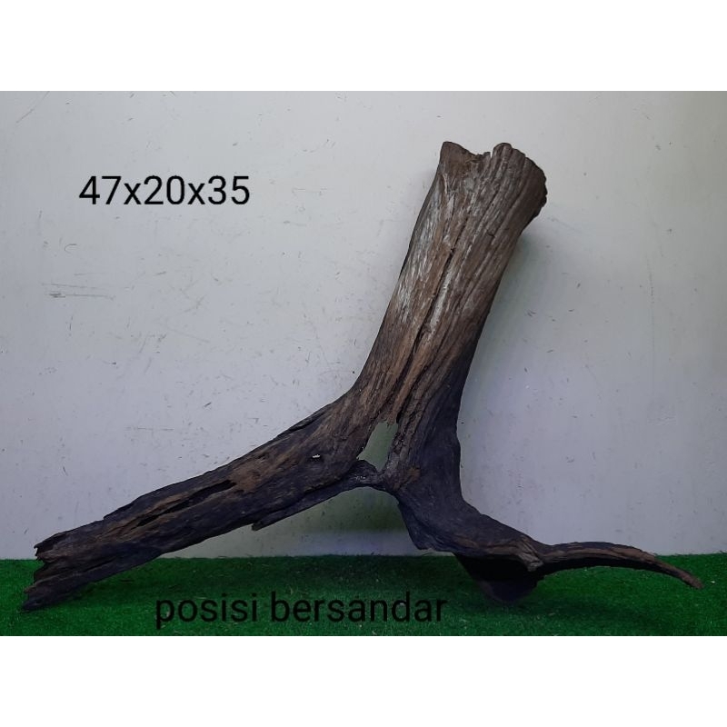 Bonggol Kayu Santigi Laut Kayu Tenggelam Aquascape Aquarium Taman 47x20x35 A3