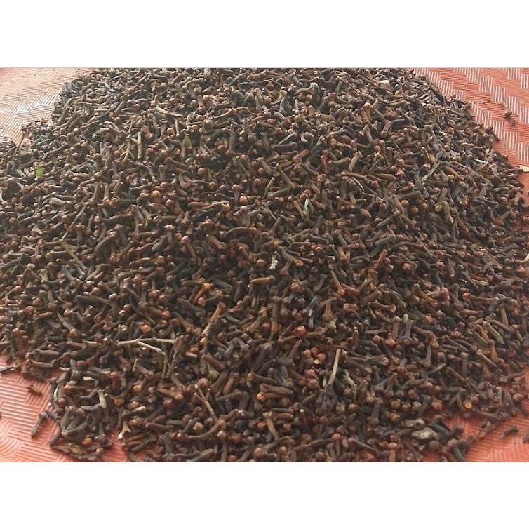 

Cengkeh Kering / Buah Cengkih Kering Alami / Natural Dried Clove Fruit