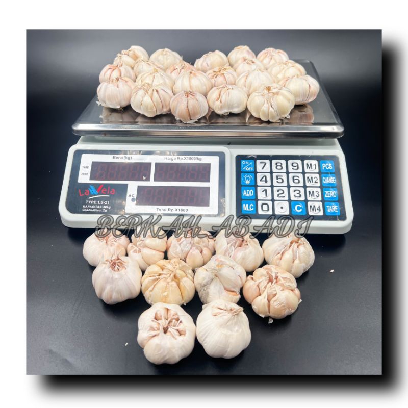 

BAWANG PUTIH - BAWANG PUTIH FRES SUPER BERKUALITAS / BAWANG PUTIH TERMURAH BERAT 100 GRAM SAMPAI 1 KG / BAWANG-BAWANGAN / BAHAN-BAHAN MEMASAK / BUMBU-BUMBU DAPUR / BAWANG PUTIH IMPORT