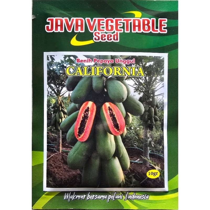 Benih Pepaya California 10gr Vegetable Seed