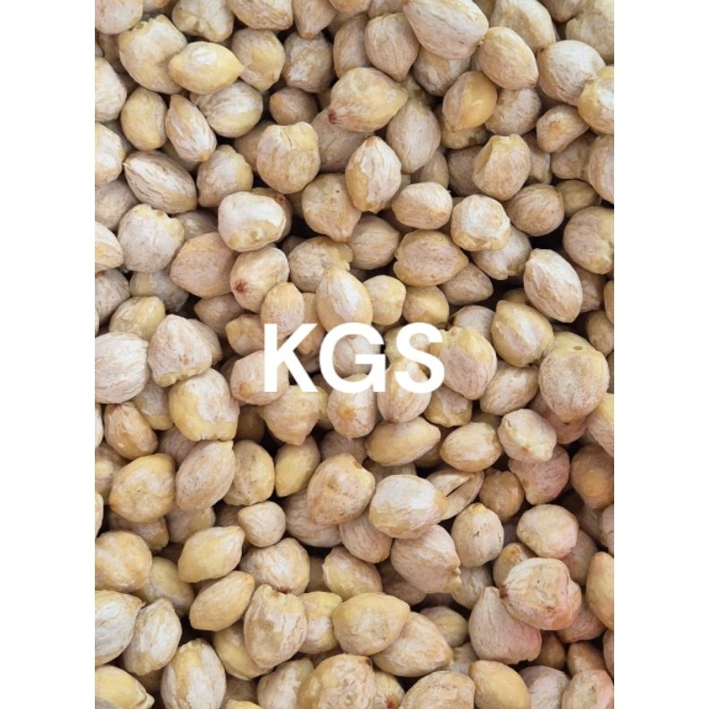 

KEMIRI KUPAS BULAT/UTUH BERKUALITAS