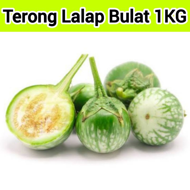 

Terong Lalap Bulat Hijau 1kg Fresh