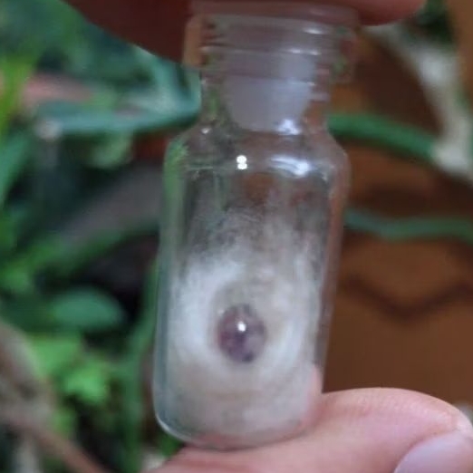 Batu mustika delima merah nempel magnet sir alam asli temuan sepuh kuno antik pusaka