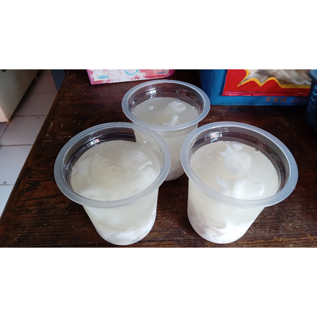 

Jelly Degan Kelapa Muda Murni Asli 14oz / Tanpa Pengawet / Cup Gelas 400ml