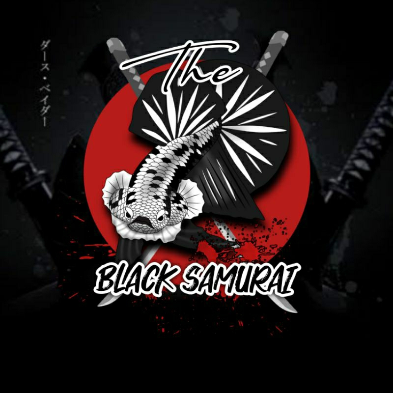 Cupang Black samurai