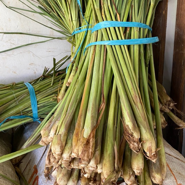 

Batang sereh Bangkok jumbo Fresh