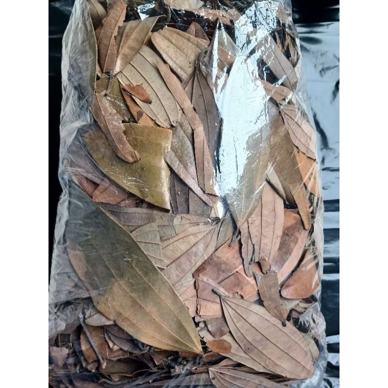 

Daun kayu manis kering 1 kg asli tanpa campuran