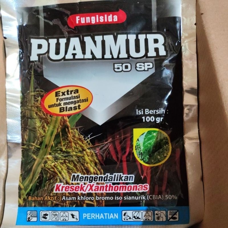 Puanmur 50SP 100gram fungsida dan bakterisida kresek potong leher trotol
