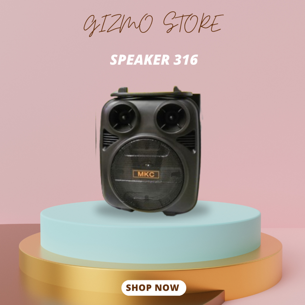 Speaker Portable Bluetooth 316 Mini Gratis Mic Karaoke