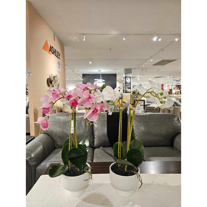 ARTIFICIAL ANGGREK LATEX INFORMA