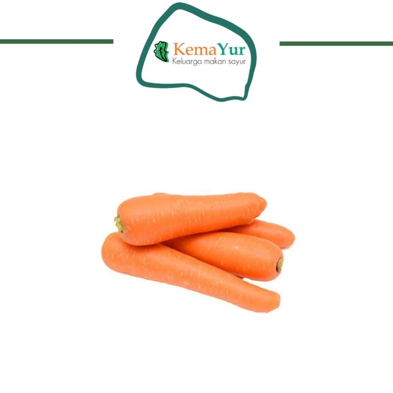 

WORTEL BERASTAGI 500GR MURAH