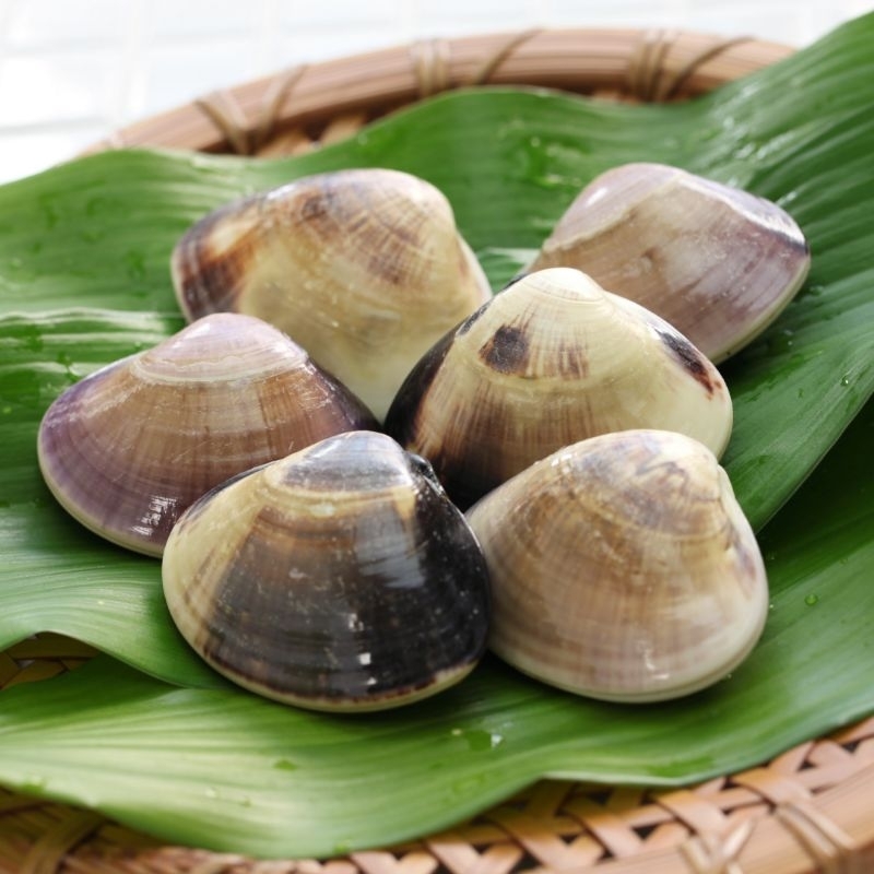 

Kerang Tahu Frozen 1 Kg