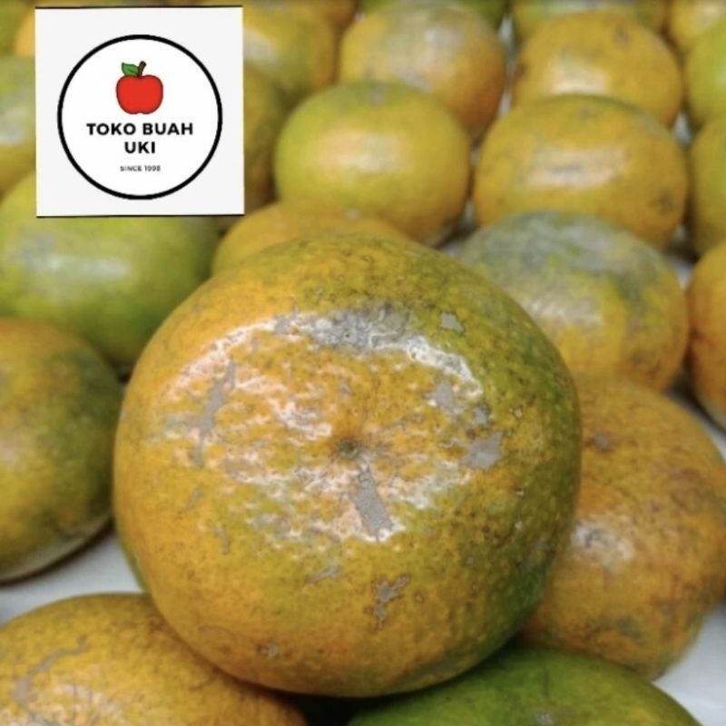 

Buah Jeruk Medan Asli Original Manis Fresh