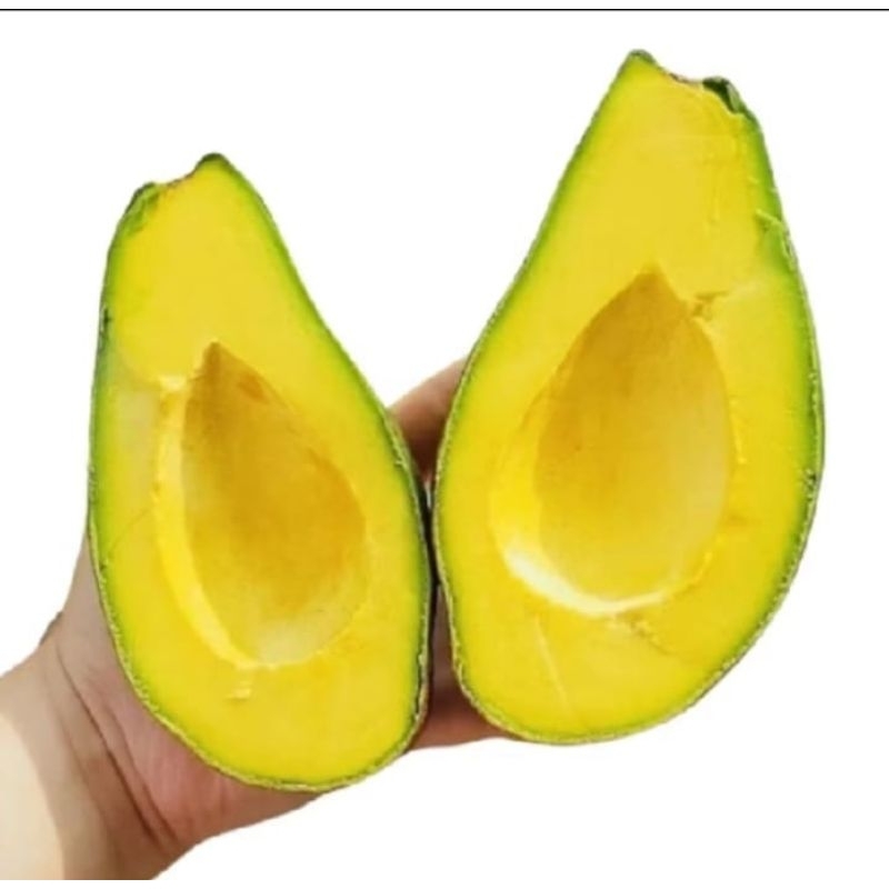 

Alpuket mentega tua kuning 1kg isi 3-4