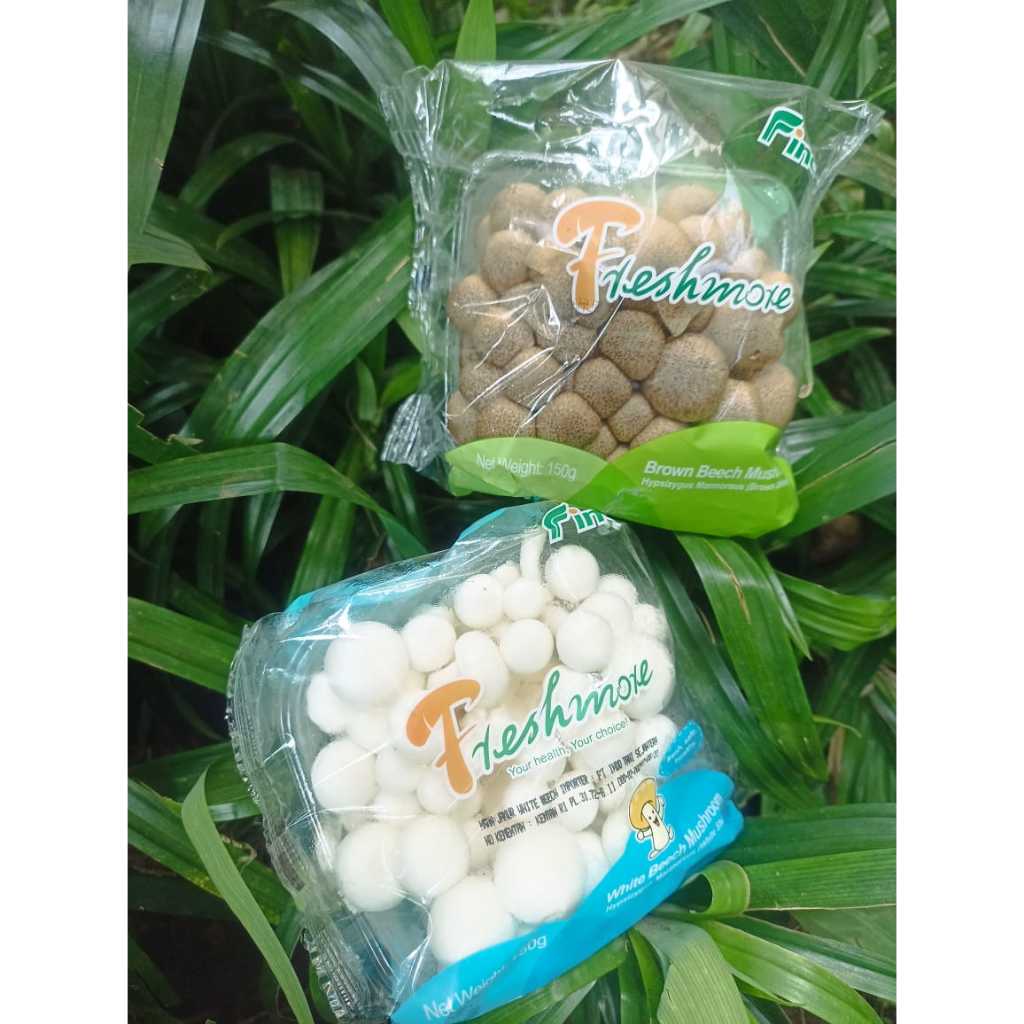 

Jamur Shimeji Fresh 150gr