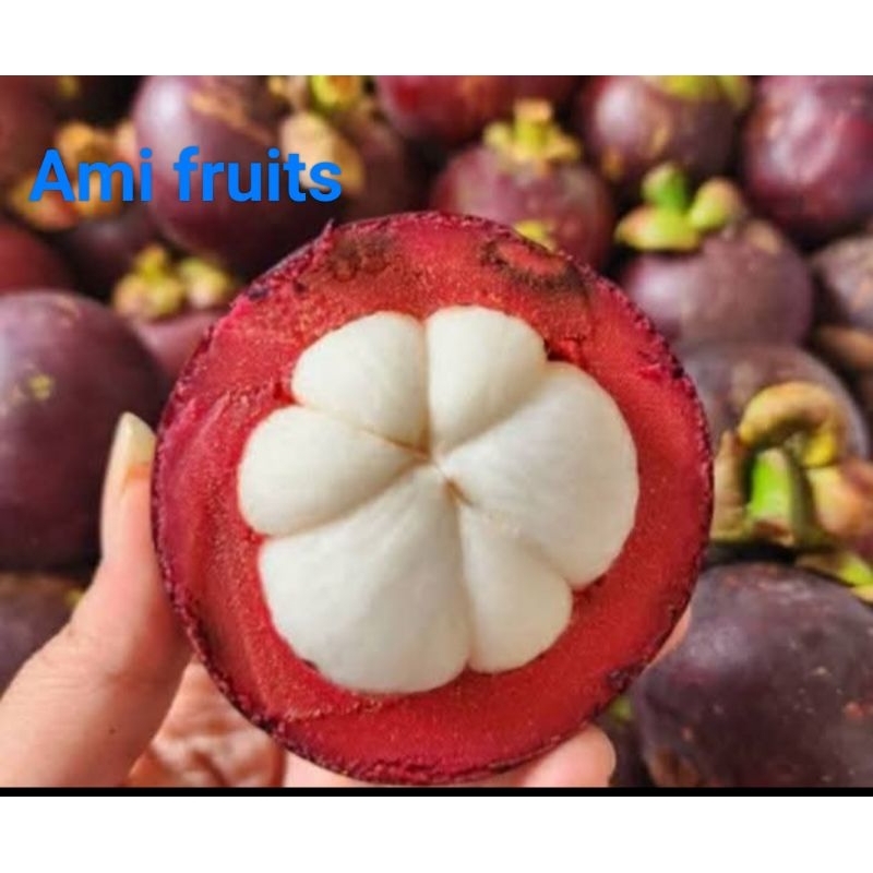 

Buah manggis manis seger fres 1 kg