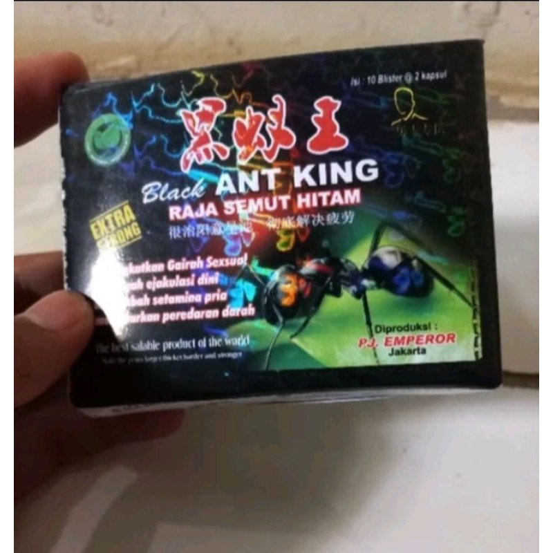 kuat Perkasa Black Ant King Semut Hitam Afrika Original 1000%