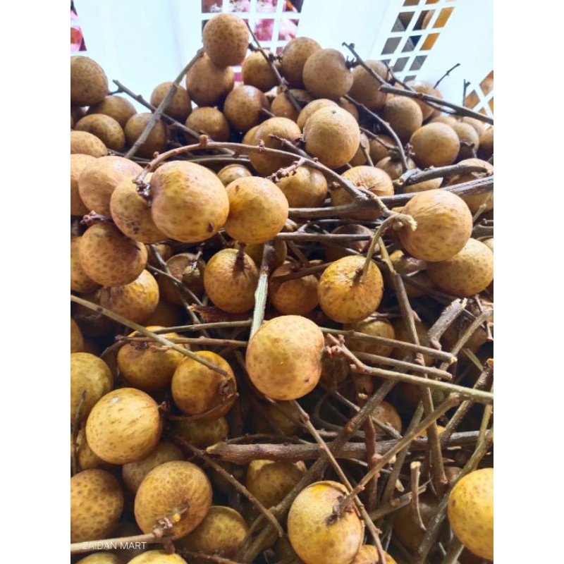 

KELENGKENG GOLD 250 gram