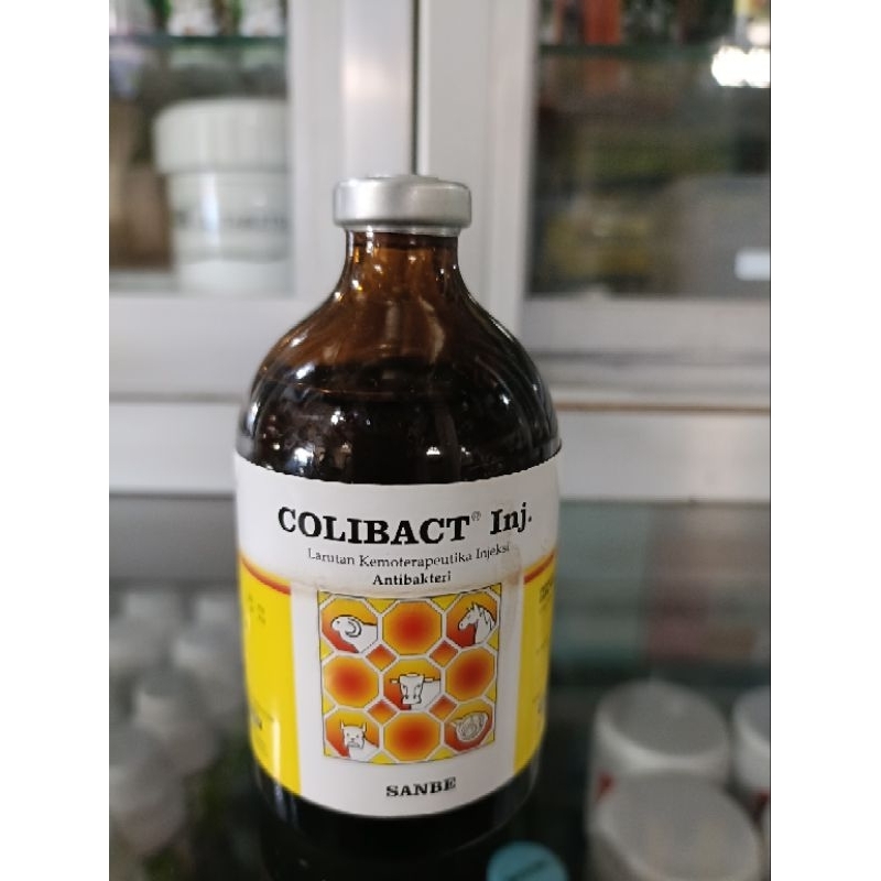 Colibact injeksi 100ml sanbe