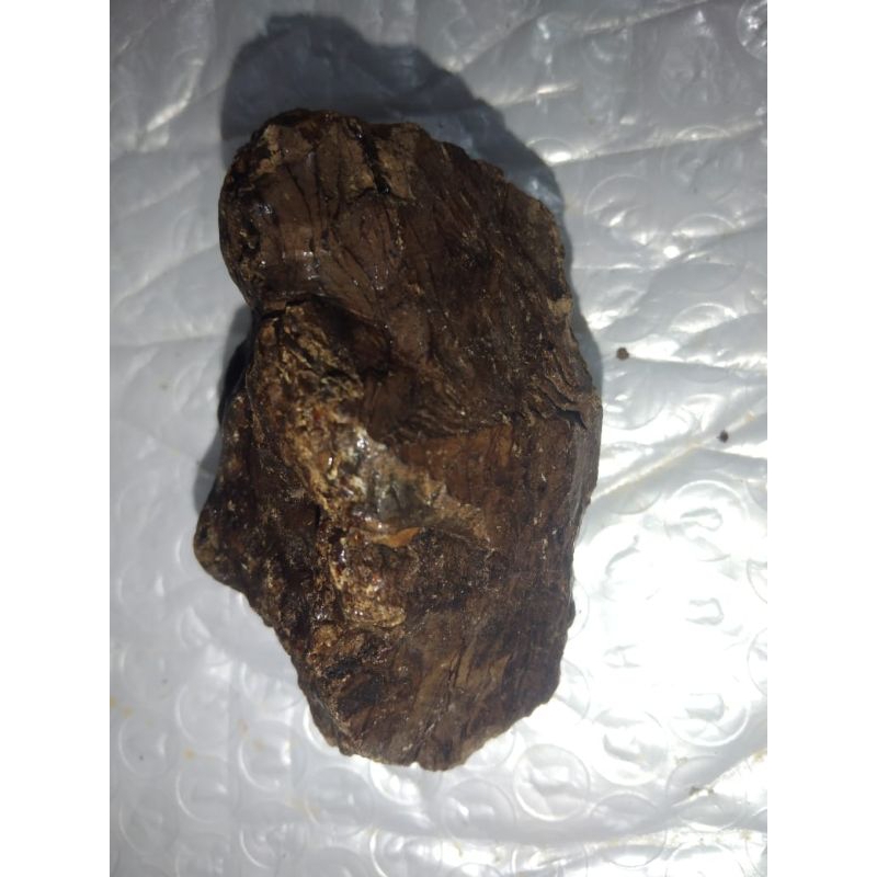 getah kayu dewandaru