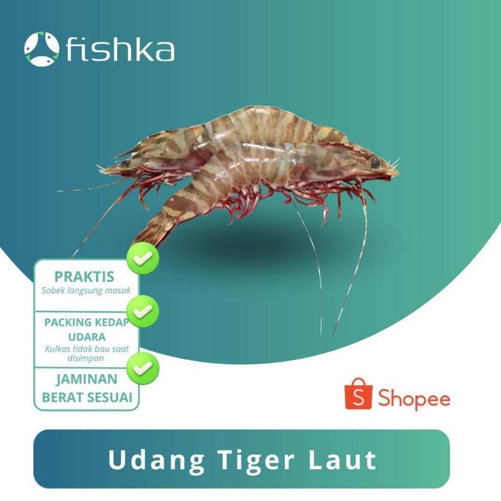 

Udang Tiger Laut / Udang Segar