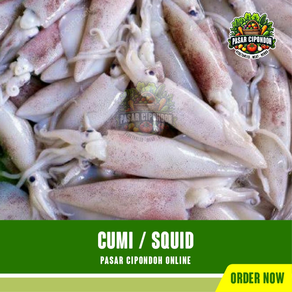 

Cumi Mentah Segar 250 - 500 gram / Squid - Pasar Cipondoh Tangerang