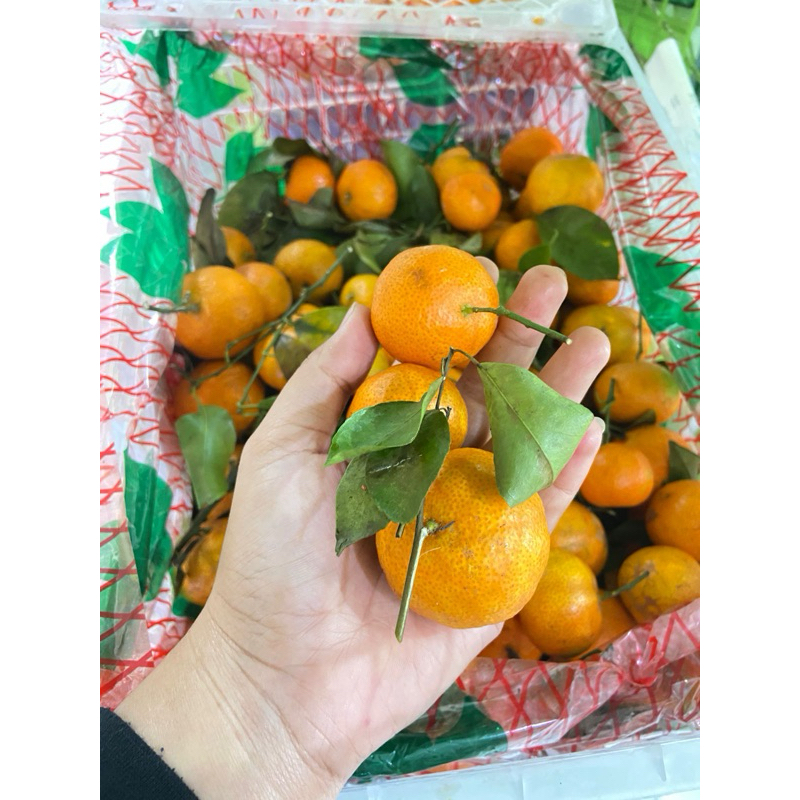 

jeruk shantang daun 1 krat manis 6 kg surabaya sidoarjo