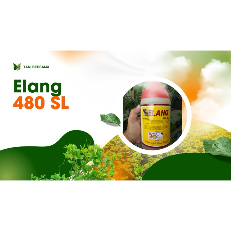 Herbisida Elang 480 SL