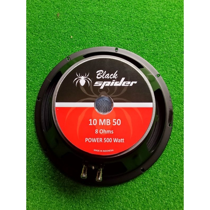 SPEAKER BLACK SPIDER 10' 10MB50