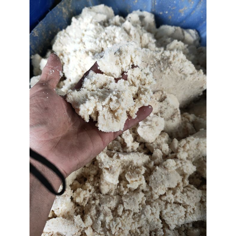 AMPAS TAHU SEDIKIT BASAH 1/2 KG.