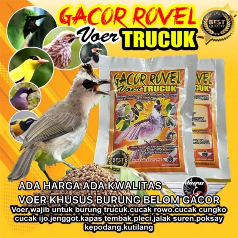 Voer Trucuk/Pakan Trucuk/Pakan Burung Trucuk/Trucukan/Makanan Trucuk/Makanan Burung/Gacor Rovel