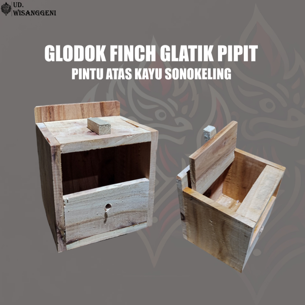 glodok burung finch, glatik, pipit