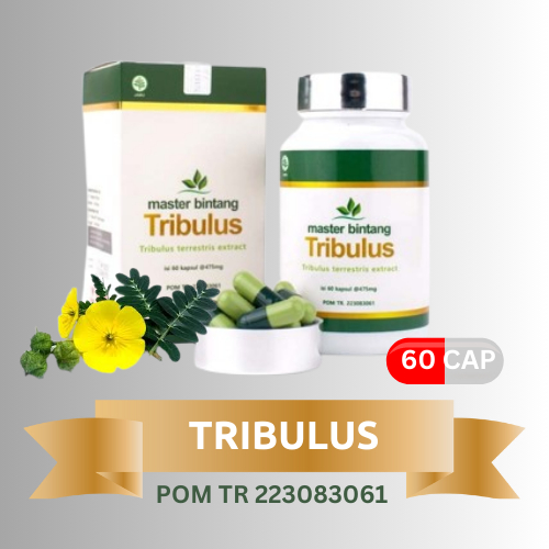 Master Bintang Tribulus Terrestris Extract Stamina Hipertensi otot
