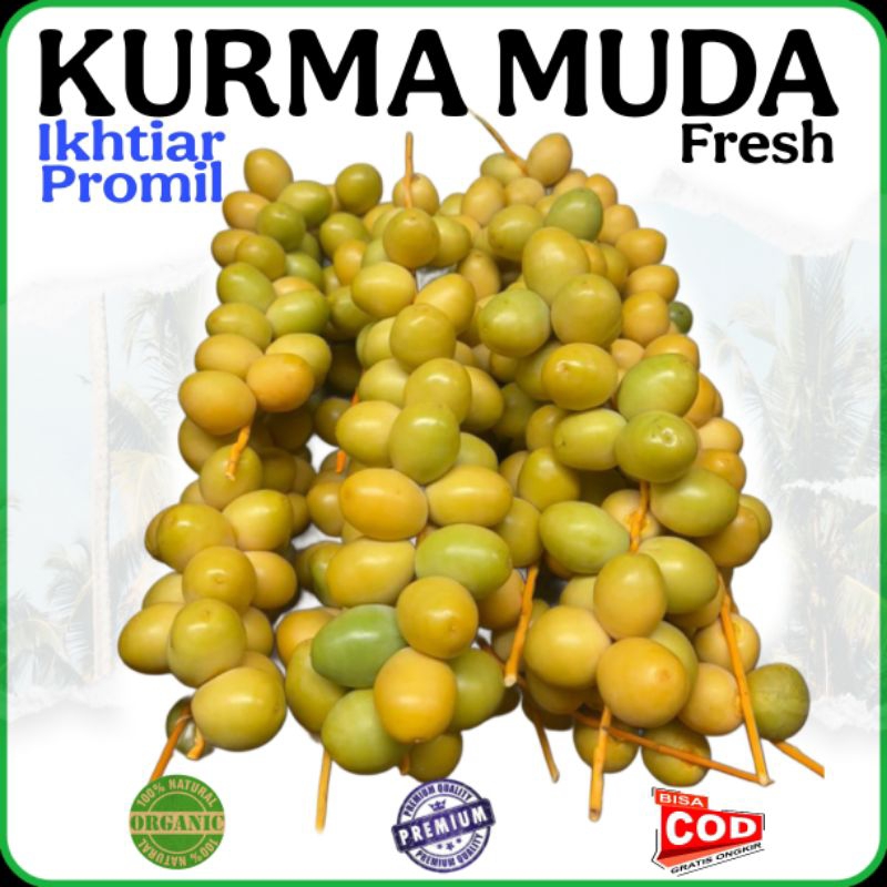 

PROMIL KURMA MUDA FRESH FULL DISKON - Kurma Muda Promil Segar Kurma Muda Ruthob Fresh