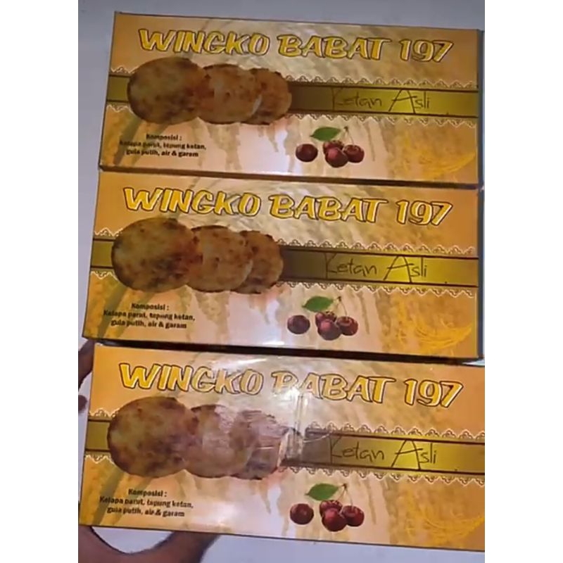 

KUE WINGKO BABAT 197
