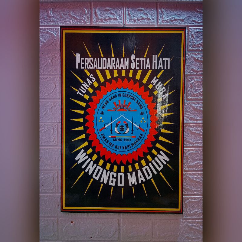 HIASAN DINDING PSHW UKURAN JUMBO 40X60CM - WALLDECOR PSHW JUMBO - PIGORA PSHW