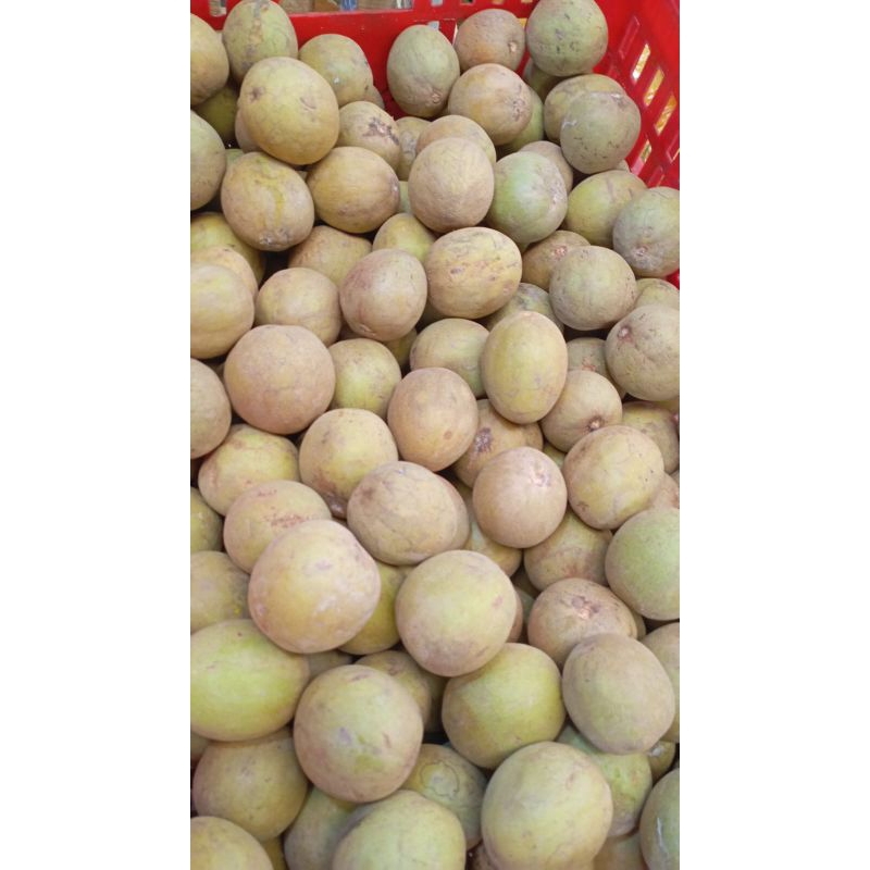 

Sawo Lokal Fresh