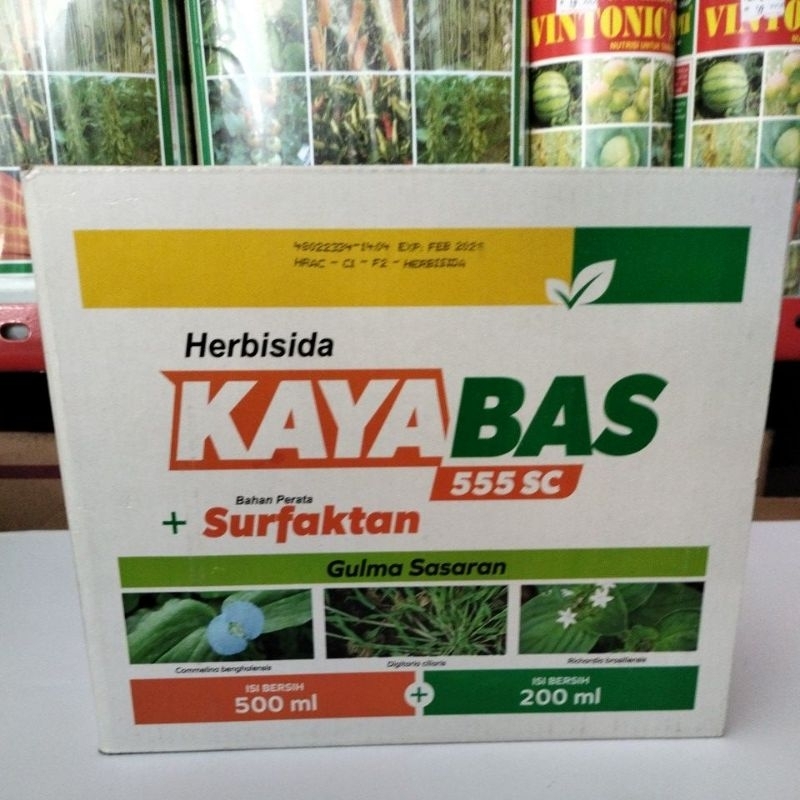 KAYABAS 500 ML