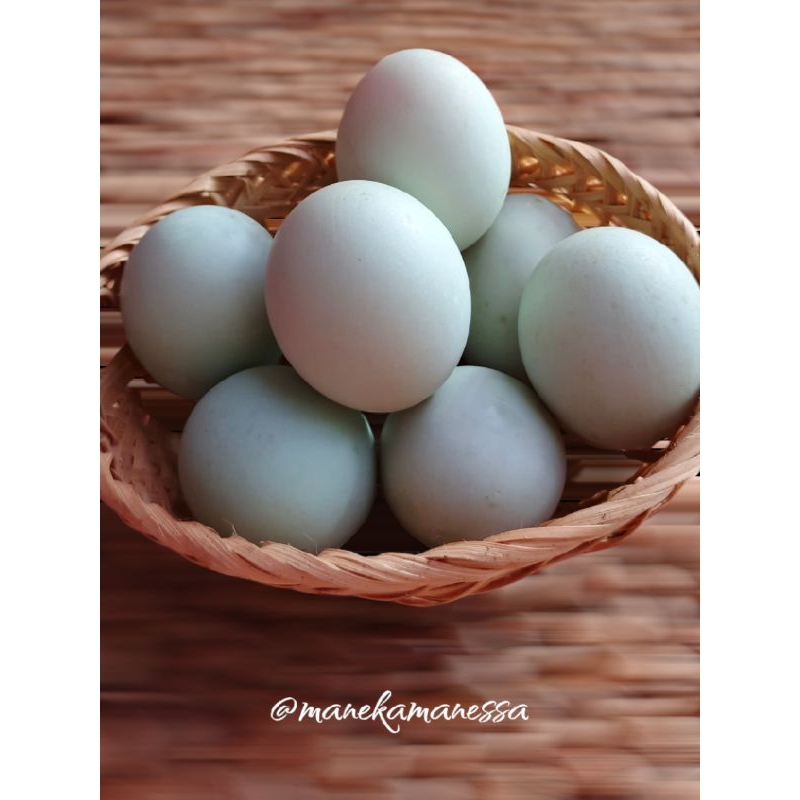 

Telur Bebek Mentah Fresh Duck Egg Fresh (10pcs) - Instant/sameday Malang